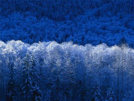 une belle hiver